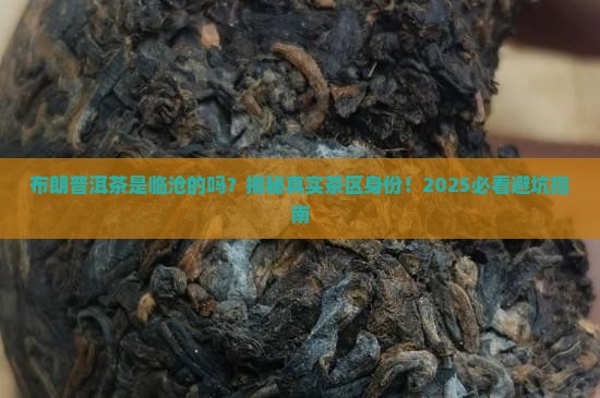 布朗普洱茶属于临沧茶区吗