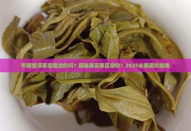 布朗普洱茶属于临沧茶区吗