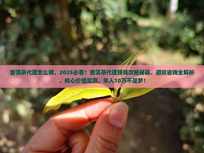 普洱茶代理怎么做