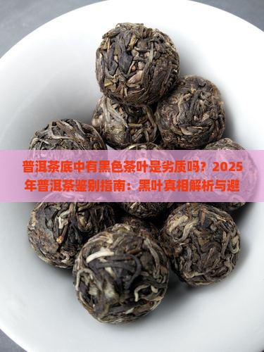普洱茶底中有黑色茶叶