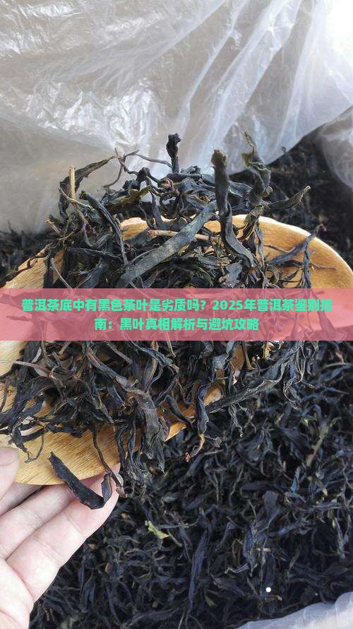 普洱茶底中有黑色茶叶