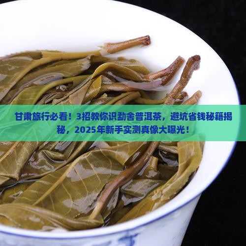 甘肃物超所值的勐舍普洱茶