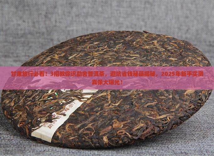 甘肃物超所值的勐舍普洱茶
