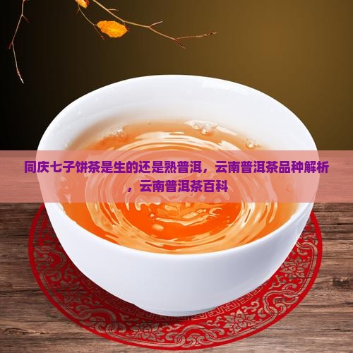 同庆七子饼茶是生的还是熟普洱