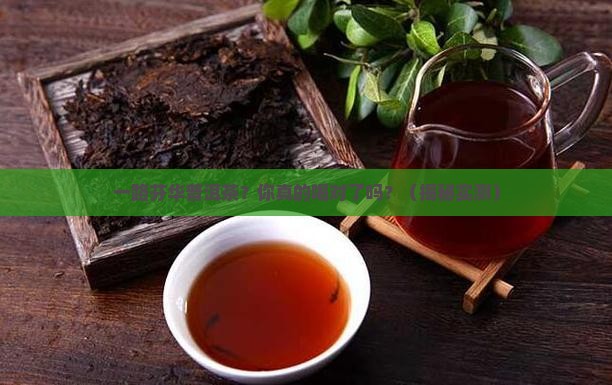一路芬华普洱茶