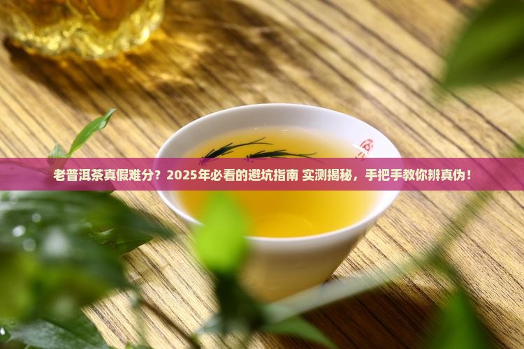 怎样辨别老普洱茶的真假