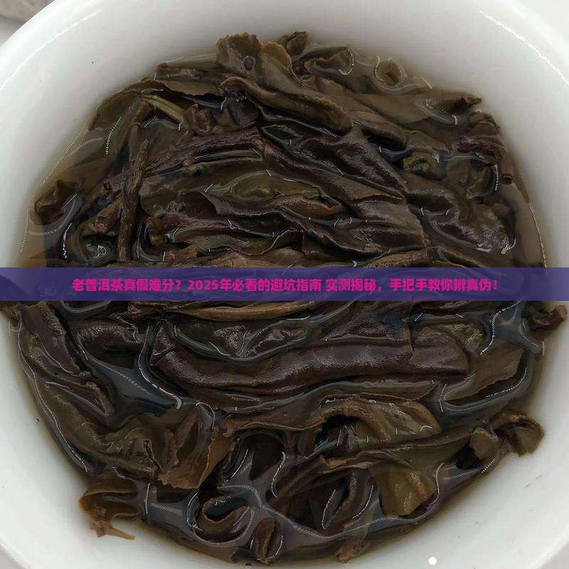 怎样辨别老普洱茶的真假