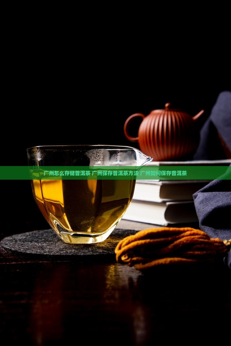 广州怎么存储普洱茶