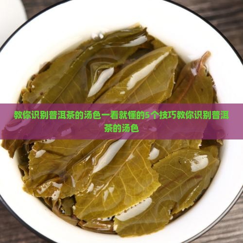 教你识别普洱茶的汤色