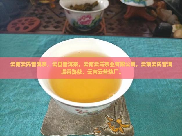 云南云氏普洱茶