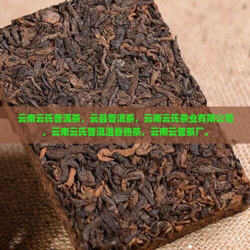 云南云氏普洱茶