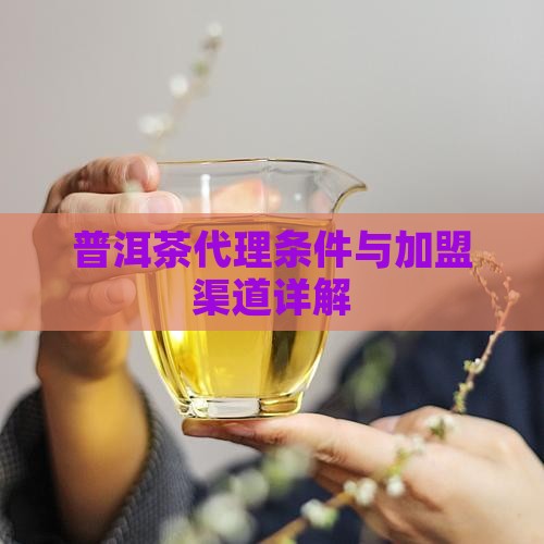 柳州熟普洱茶渠道代理条件