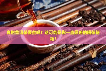 青柑普洱茶需要煮么