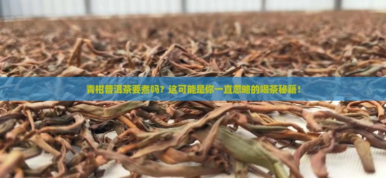 青柑普洱茶需要煮么