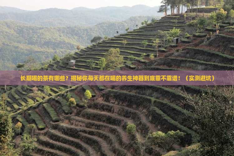 长期喝的茶有哪些