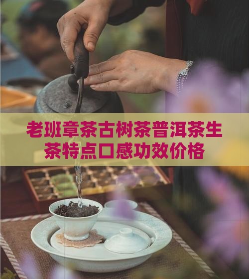 老班章茶古树茶