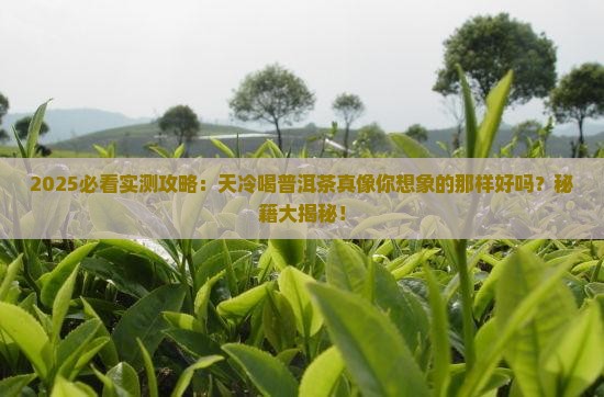 天冷喝普洱茶好吗