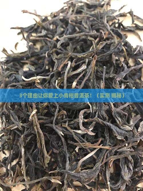 小青柑普洱茶的特征是什么