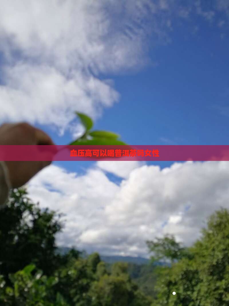 血压高可以喝普洱茶吗女性