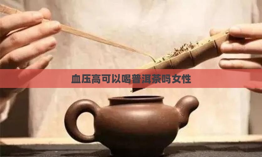 血压高可以喝普洱茶吗女性