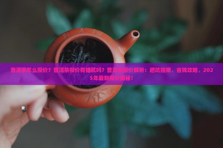 普洱茶怎么报价的