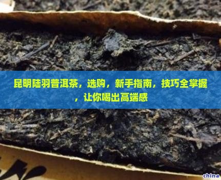 昆明陆羽普洱茶 昆明陆羽普洱茶