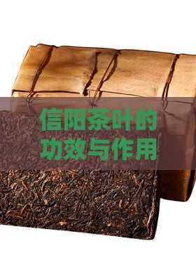 信阳茶叶的功效与作用