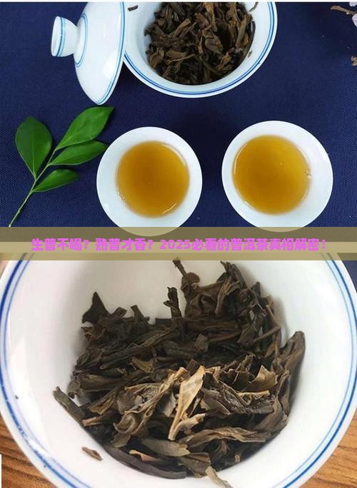 为什么说普洱茶生不喝熟