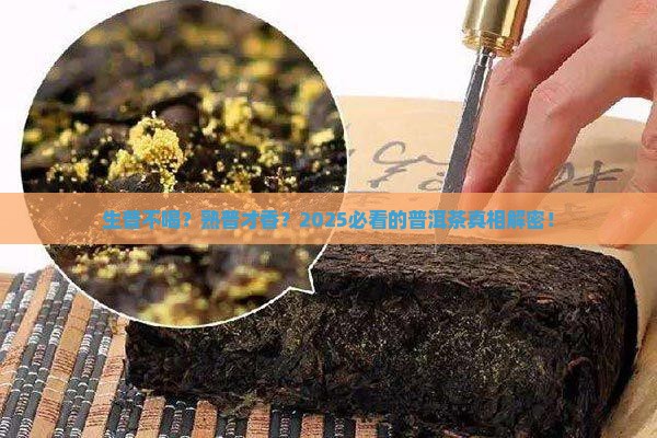 为什么说普洱茶生不喝熟