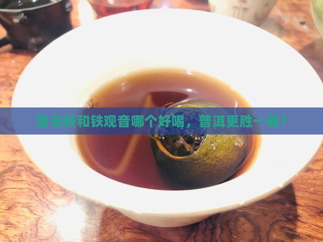 普洱茶和铁观音那个好喝