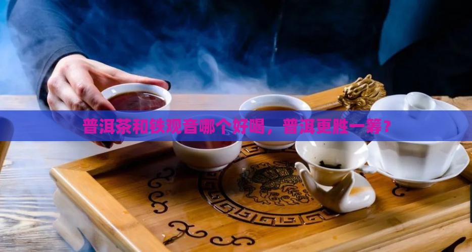 普洱茶和铁观音那个好喝