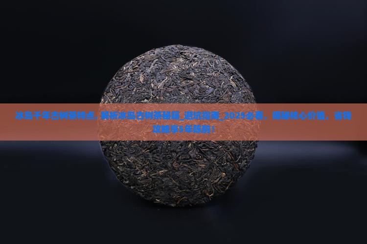 冰岛千年古树茶特点