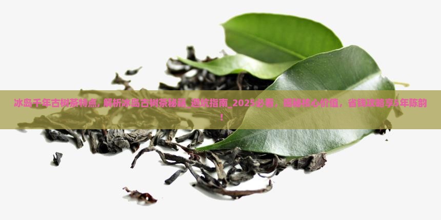 冰岛千年古树茶特点