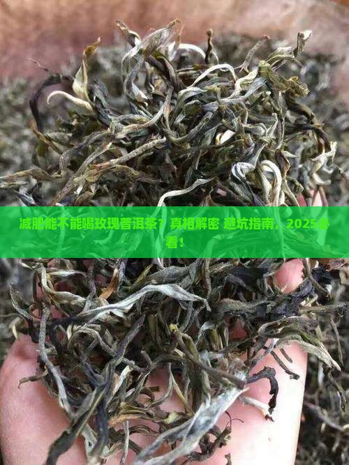 减肥能不能喝玫瑰普洱茶 减肥能不能喝玫瑰普洱茶