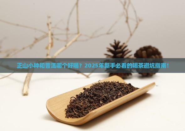 正山小种和普洱哪个好喝