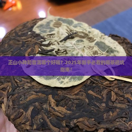 正山小种和普洱哪个好喝