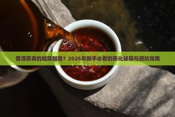 普洱茶真的越陈越香