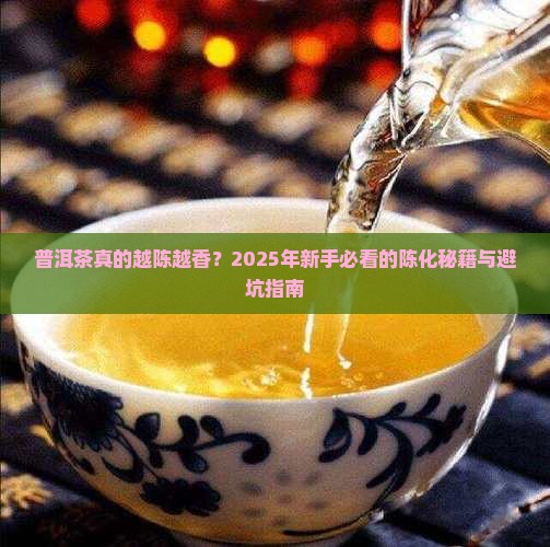 普洱茶真的越陈越香
