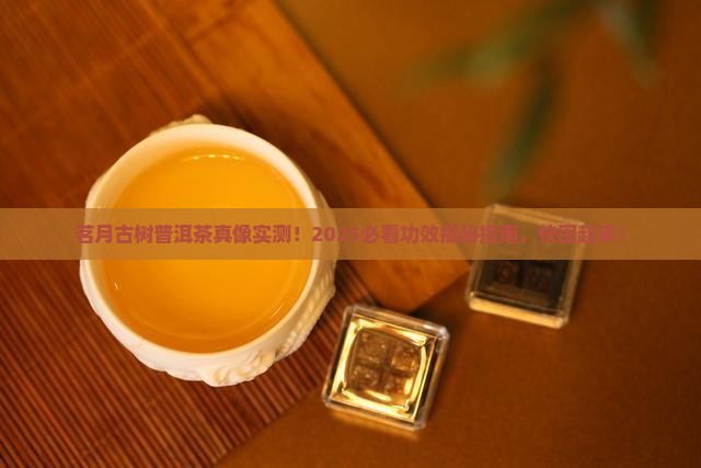 茗月古树普洱茶功效