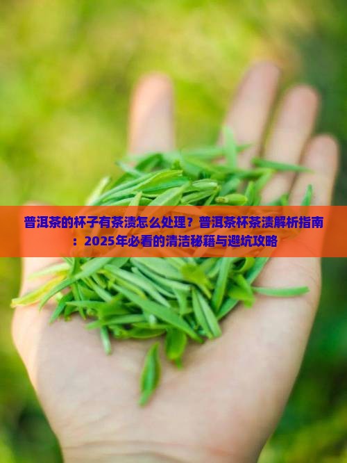 普洱茶的杯子有茶渍