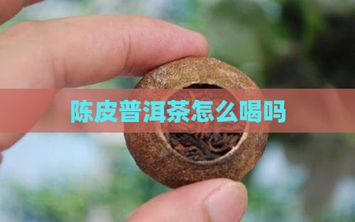 陈皮普洱茶怎么喝吗