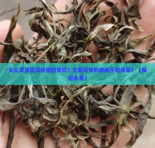 女儿贡是什么茶普洱茶贡饼生茶