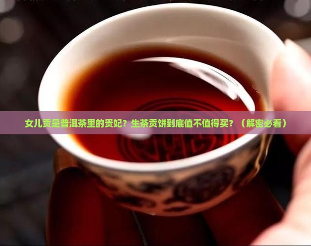 女儿贡是什么茶普洱茶贡饼生茶