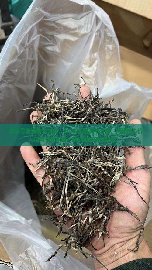 益淳号普洱茶怎么样