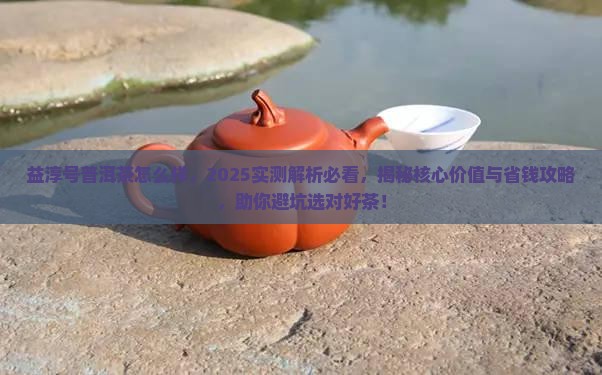益淳号普洱茶怎么样