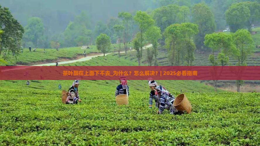 茶叶飘在上面下不去