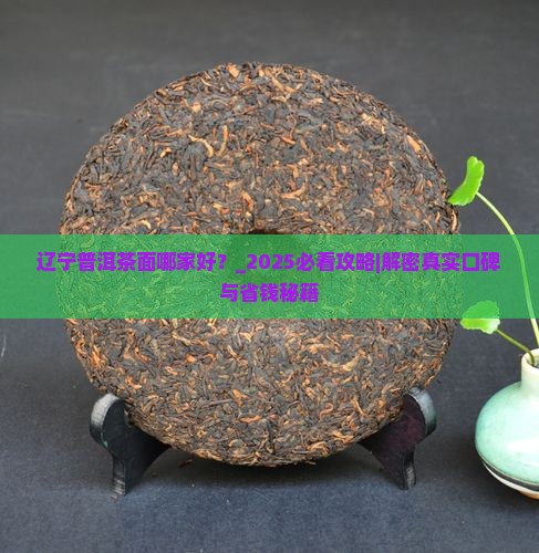 辽宁普洱茶面哪家好