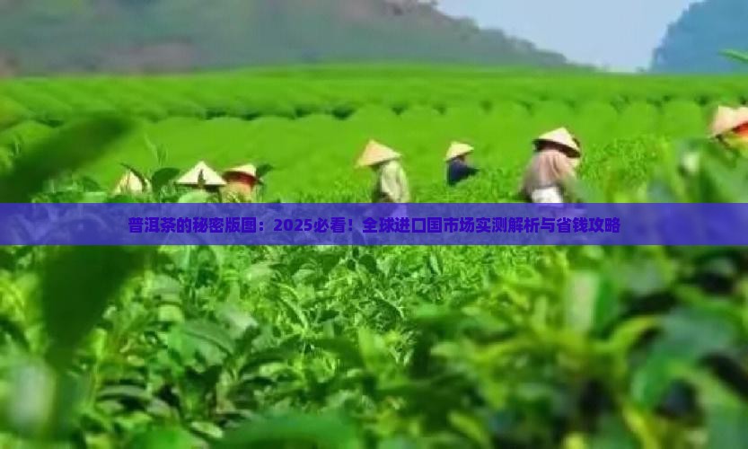 普洱茶的主要进口国市场