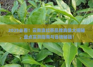云南滇红茶品牌排行