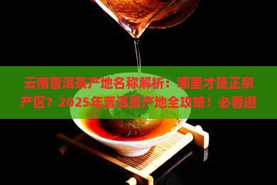 云南普洱茶产地名称